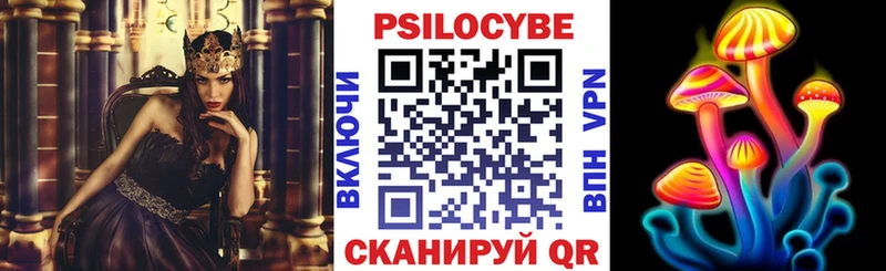 Купить где  Заречный  Галлюциногенные грибы мицелий 